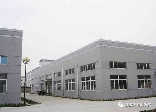 从败家子到台湾首富 一条狗引发的367亿逆袭